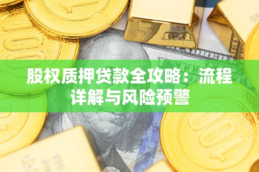 武汉股权质押贷款全攻略：流程详解与风险预警