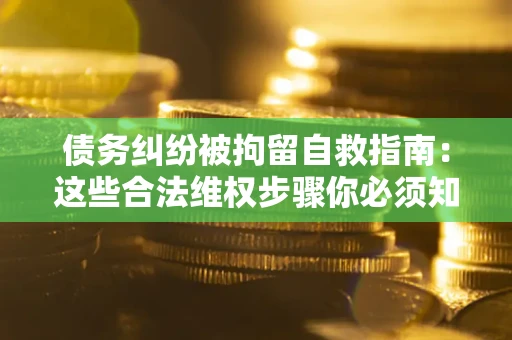 武汉债务纠纷被拘留自救指南：这些合法维权步骤你必须知道！