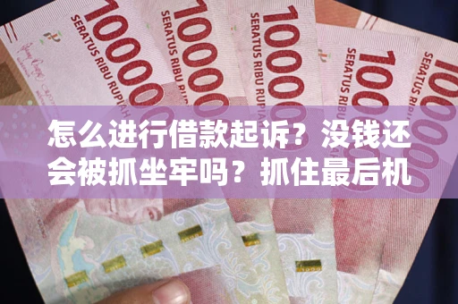 武汉怎么进行借款起诉？没钱还会被抓坐牢吗？抓住最后机会！