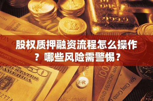 武汉股权质押融资流程怎么操作？哪些风险需警惕？