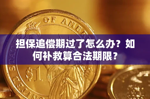 武汉担保追偿期过了怎么办？如何补救算合法期限？