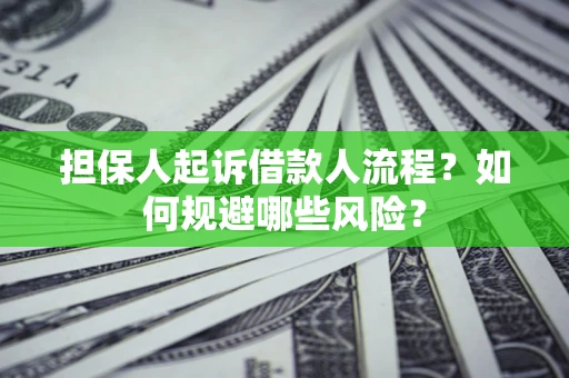 武汉担保人起诉借款人流程？如何规避哪些风险？