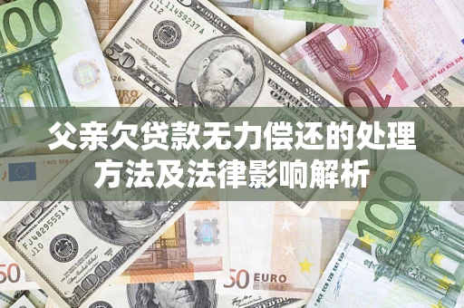 武汉父亲欠贷款无力偿还的处理方法及法律影响解析