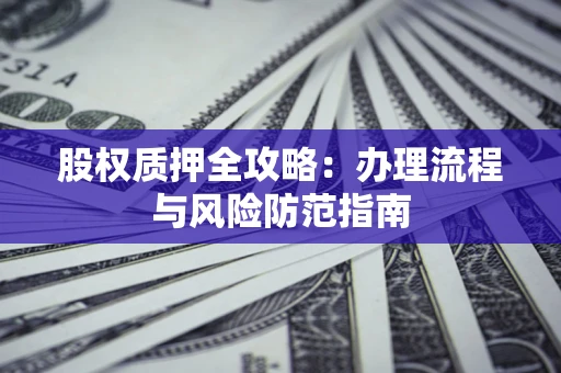 武汉股权质押全攻略：办理流程与风险防范指南
