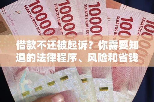 武汉借款不还被起诉？你需要知道的法律程序、风险和省钱技巧